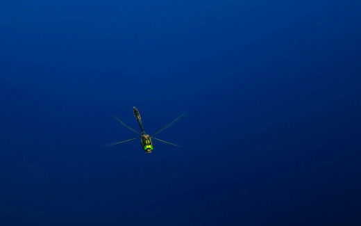 1755709 (a): :1920x1200